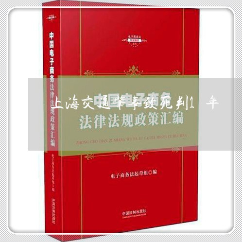 上海交通肇事致死判1年/2023042117138