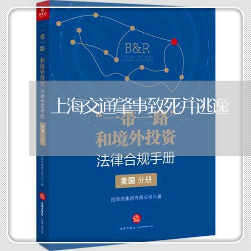 上海交通肇事致死并逃逸/2023042193603