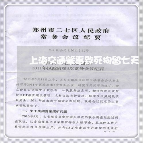 上海交通肇事致死拘留七天/2023031783839 上海交通肇事致死拘留七天/2023031783839