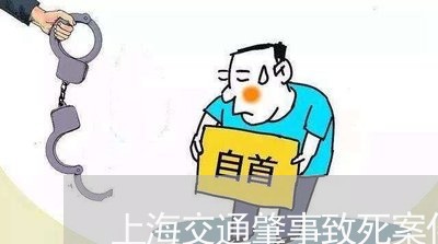 上海交通肇事致死案件/2023021241481 上海交通肇事致死案件/2023021241481