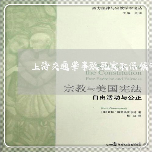 上海交通肇事致死案取保候审/2023033003717