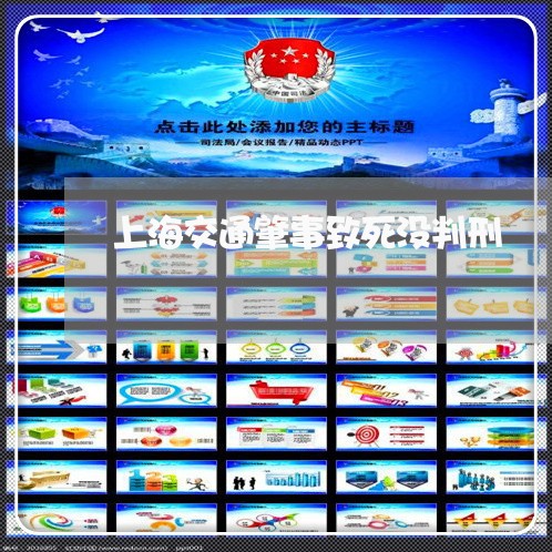 上海交通肇事致死没判刑/2023022740692