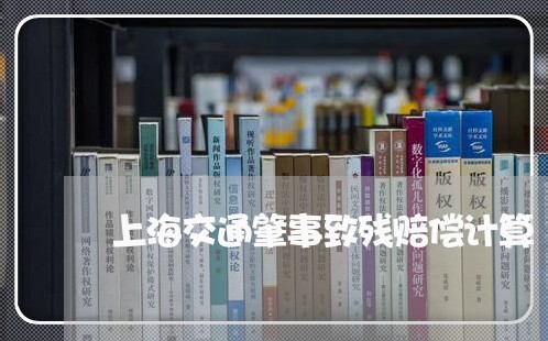 上海交通肇事致残赔偿计算/2023031808372 上海交通肇事致残赔偿计算/2023031808372