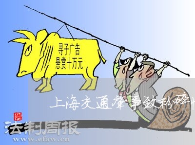 上海交通肇事致粉碎性骨折/2023031784836 上海交通肇事致粉碎性骨折/2023031784836