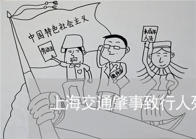 上海交通肇事致行人死亡/2023022716146 上海交通肇事致行人死亡/2023022716146