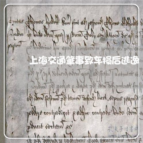 上海交通肇事致车损后逃逸/2023033021692