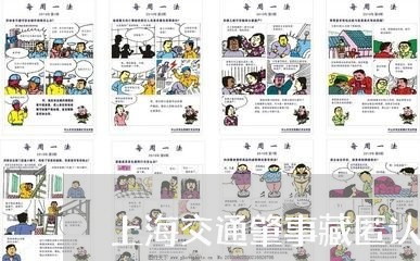 上海交通肇事藏匿认定书/2023022717369 上海交通肇事藏匿认定书/2023022717369