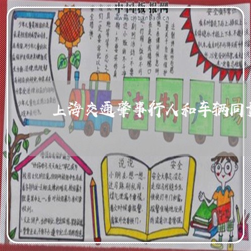 上海交通肇事行人和车辆同责/2023033028163 上海交通肇事行人和车辆同责/2023033028163