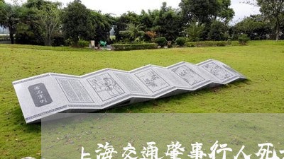 上海交通肇事行人死亡责任/2023031768704 上海交通肇事行人死亡责任/2023031768704