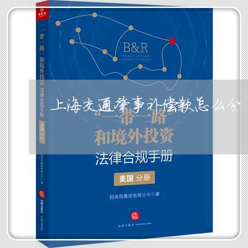 上海交通肇事补偿款怎么分/2023031895825 上海交通肇事补偿款怎么分/2023031895825