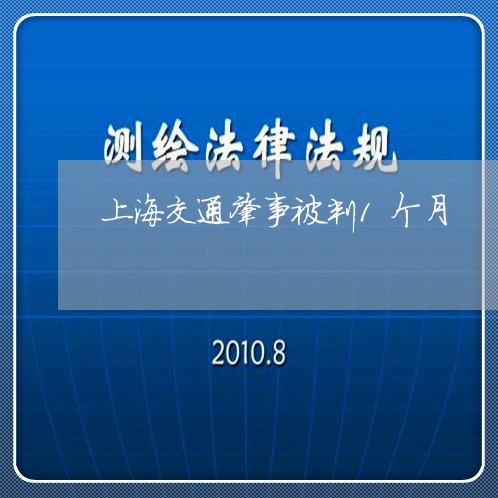 上海交通肇事被判1个月/2023022807151 上海交通肇事被判1个月/2023022807151
