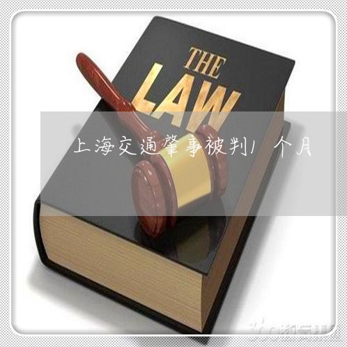 上海交通肇事被判1个月/2023022882614 上海交通肇事被判1个月/2023022882614