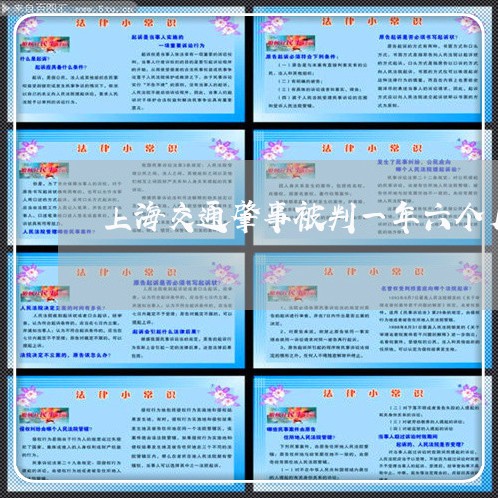 上海交通肇事被判一年六个月/2023033018238 上海交通肇事被判一年六个月/2023033018238