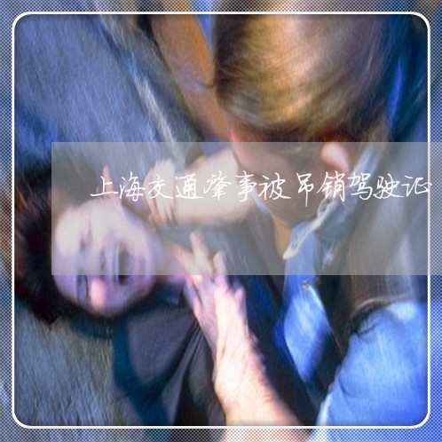 上海交通肇事被吊销驾驶证/2023031789591 上海交通肇事被吊销驾驶证/2023031789591