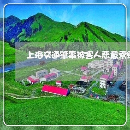 上海交通肇事被害人恶意索赔/2023033096059 上海交通肇事被害人恶意索赔/2023033096059