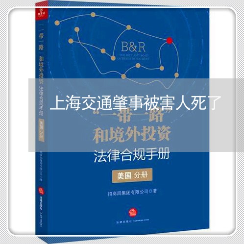 上海交通肇事被害人死了/2023042128271