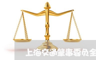 上海交通肇事要负全责/2023021279370 上海交通肇事要负全责/2023021279370