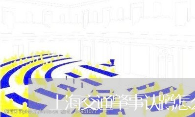 上海交通肇事认蹲怎么办/2023042126169