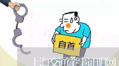 上海交通肇事证明网上举报/2023031762613 上海交通肇事证明网上举报/2023031762613