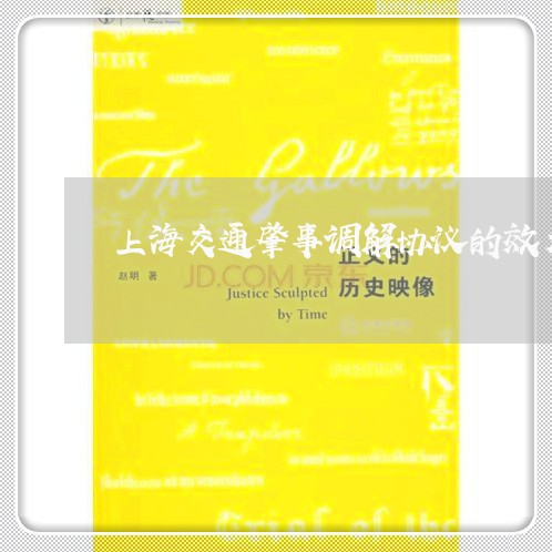 上海交通肇事调解协议的效力/2023033082595