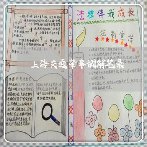 上海交通肇事调解笔录/2023021258403 上海交通肇事调解笔录/2023021258403