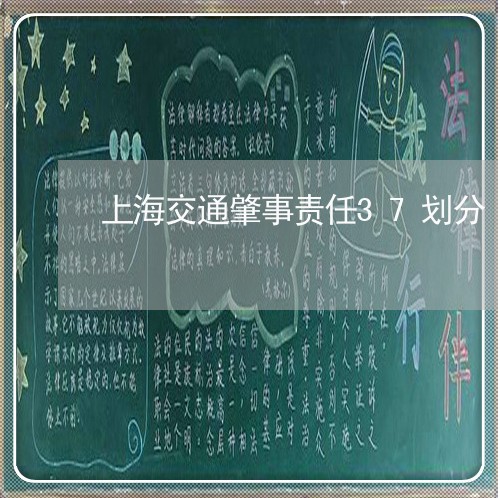 上海交通肇事责任37划分/2023031706148