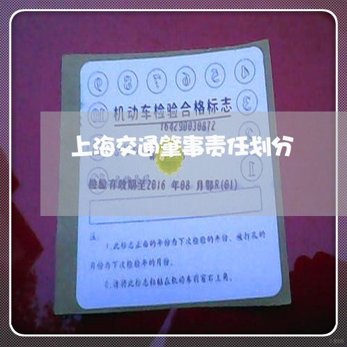 上海交通肇事责任划分/2023021172405 上海交通肇事责任划分/2023021172405