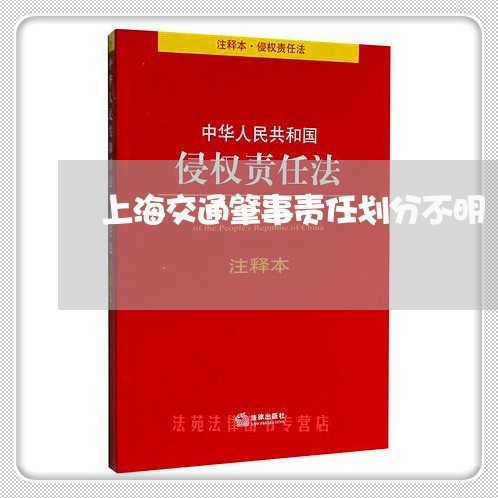 上海交通肇事责任划分不明/2023033071605