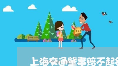 上海交通肇事赔不起钱怎么办/2023033088384 上海交通肇事赔不起钱怎么办/2023033088384
