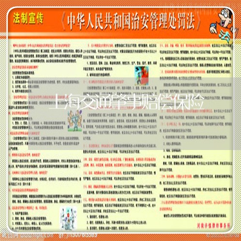 上海交通肇事赔偿保险/2023021116047 上海交通肇事赔偿保险/2023021116047