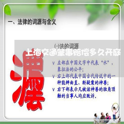 上海交通肇事赔偿多久开庭/2023033075340