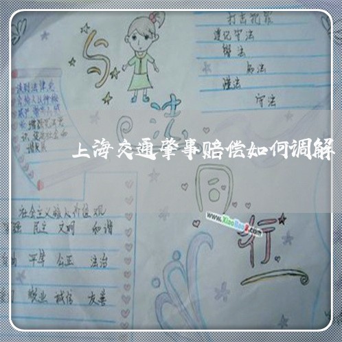 上海交通肇事赔偿如何调解/2023031717028
