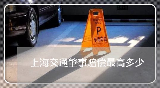上海交通肇事赔偿最高多少/2023031769583 上海交通肇事赔偿最高多少/2023031769583