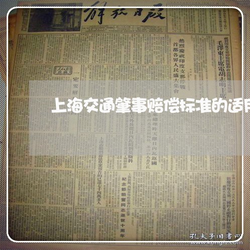 上海交通肇事赔偿标准的适用/2023033096036