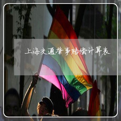 上海交通肇事赔偿计算表/2023022861847 上海交通肇事赔偿计算表/2023022861847