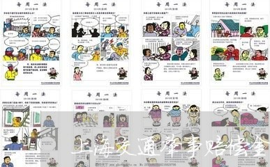 上海交通肇事赔偿金是什么/2023031704929