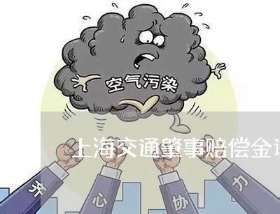 上海交通肇事赔偿金谈判/2023022860615 上海交通肇事赔偿金谈判/2023022860615