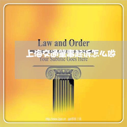上海交通肇事起诉怎么做/2023022748250