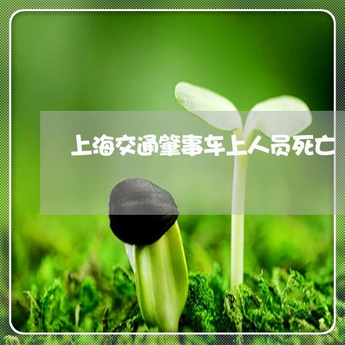 上海交通肇事车上人员死亡/2023031742705 上海交通肇事车上人员死亡/2023031742705