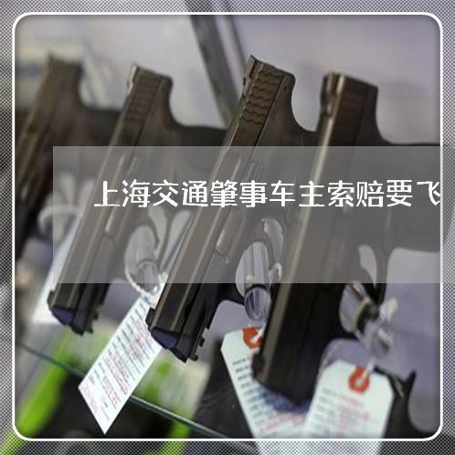 上海交通肇事车主索赔要飞/2023031796917 上海交通肇事车主索赔要飞/2023031796917