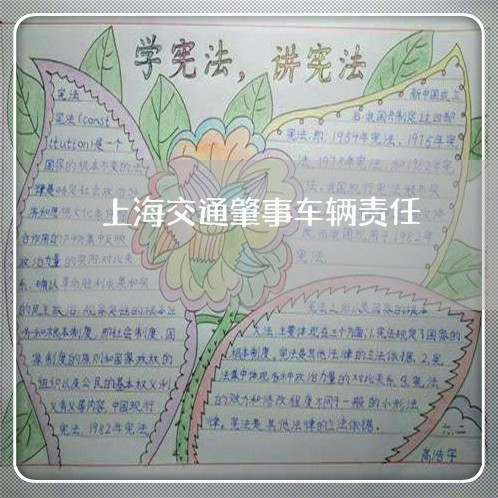 上海交通肇事车辆责任/2023021169383