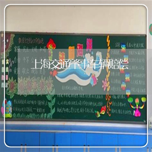 上海交通肇事车辆赔偿/2023021226050 上海交通肇事车辆赔偿/2023021226050
