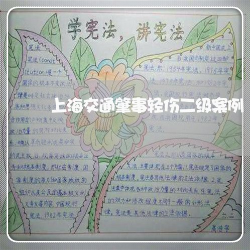 上海交通肇事轻伤二级案例/2023031772583 上海交通肇事轻伤二级案例/2023031772583