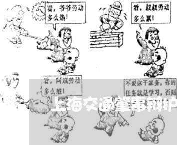 上海交通肇事辩护词样本/2023022704935 上海交通肇事辩护词样本/2023022704935