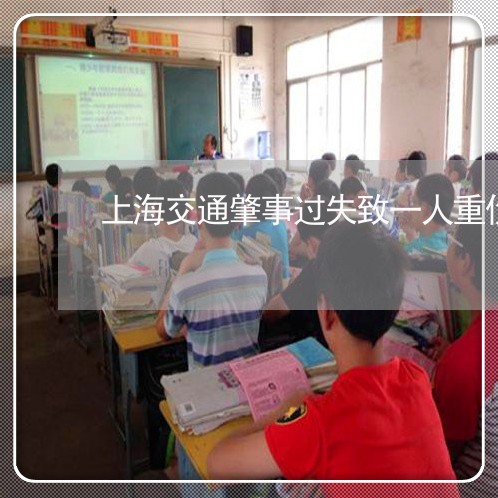 上海交通肇事过失致一人重伤/2023033082726