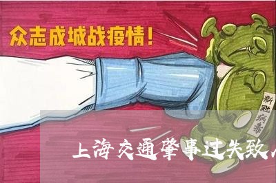 上海交通肇事过失致人死亡案/2023033032825 上海交通肇事过失致人死亡案/2023033032825
