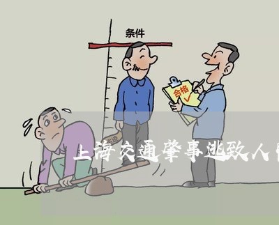 上海交通肇事逃致人昏迷不醒/2023033172693 上海交通肇事逃致人昏迷不醒/2023033172693
