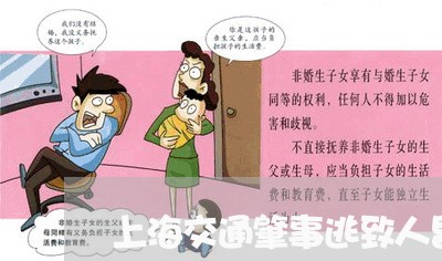 上海交通肇事逃致人昏迷不醒/2023033186946 上海交通肇事逃致人昏迷不醒/2023033186946