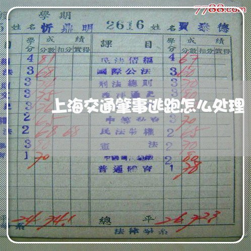 上海交通肇事逃跑怎么处理/2023031861392 上海交通肇事逃跑怎么处理/2023031861392