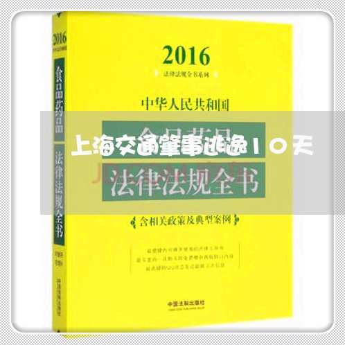 上海交通肇事逃逸10天/2023022771713